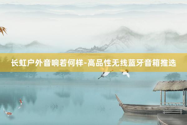长虹户外音响若何样-高品性无线蓝牙音箱推选