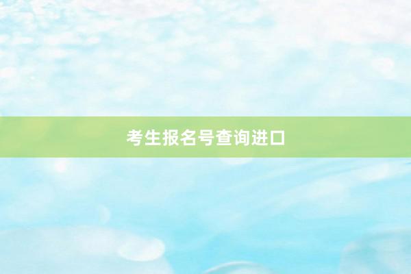 考生报名号查询进口