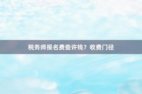 税务师报名费些许钱？收费门径