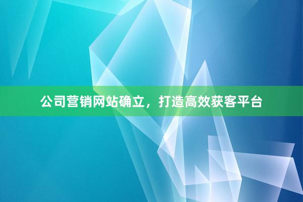 公司营销网站确立，打造高效获客平台