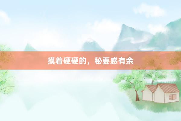 摸着硬硬的，秘要感有余